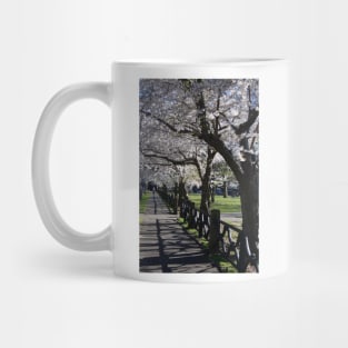 Cherry Blossoms Mug